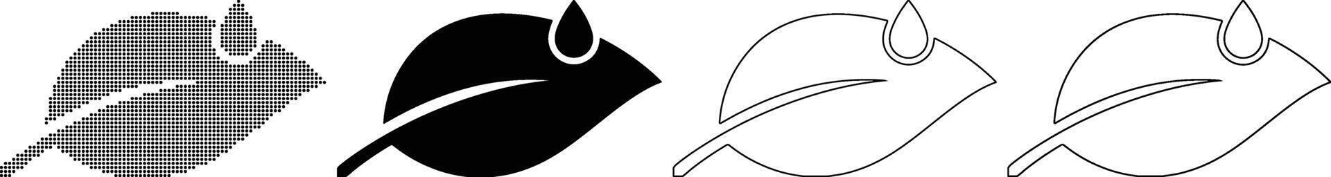 A set of four different shapes of a bird vector