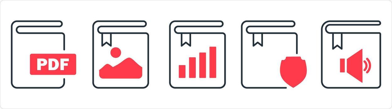 A set of 5 document icons as pdf book, image book, graph book in red line color vector