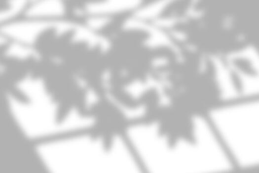 Peaceful shadow patterns of tree leaves and window grid on a wall. photo