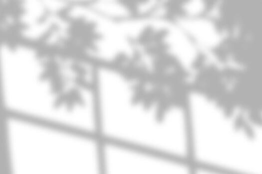 Window frame casting subtle shadows of tree leaves, adding texture. photo