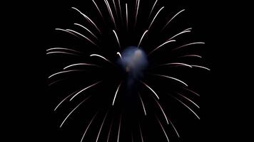 realistisk fyrverkeri lansera med gyllene spår exploderande in i vit symmetrisk brista täcka över på svart bakgrund video