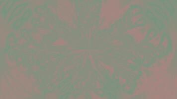 vibrerande magenta Färg lutning skiftande och strömmande dynamiskt på skärm video