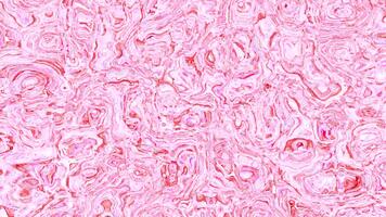 hipnótico arremolinándose círculos crear un dinámica, moderno resumen antecedentes video