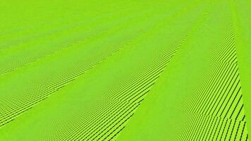 Dynamic abstract red and blue motion background with radial lines video