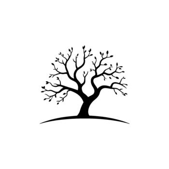 A stylized silhouette of a deciduous tree with intricate branches and sparse leaves vector