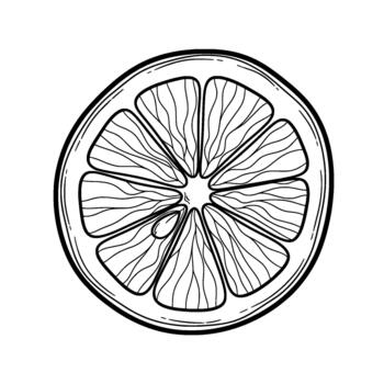 línea dibujo de un soltero agrios Fruta rebanada demostración radiante segmentos y central pulpa detalle aislado vector