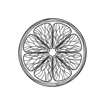 un detallado línea Arte ilustración de un soltero agrios Fruta rebanada mostrando segmentos y intrincado interno patrones vector