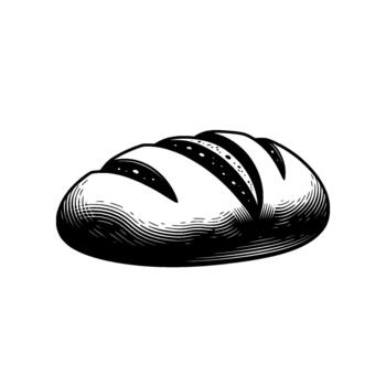 A meticulously rendered illustration of a crusty artisan loaf of bread with distinct scoring marks and fine hatching texture vector
