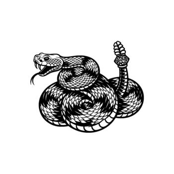 estilizado ilustración de un enroscado serpiente de cascabel con sus lengua sacudiendo fuera en un defensivo postura presentando intrincado escala patrones y un detallado traqueteo vector