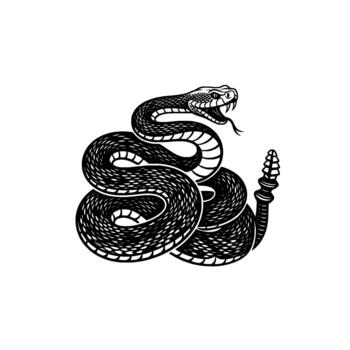 Striking illustration of a coiled rattlesnake displaying its iconic rattle and fangs ready to strike vector