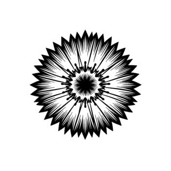 A striking abstract illustration of a stylized starburst flower or sun motif with sharp radiating lines and a central dark core vector