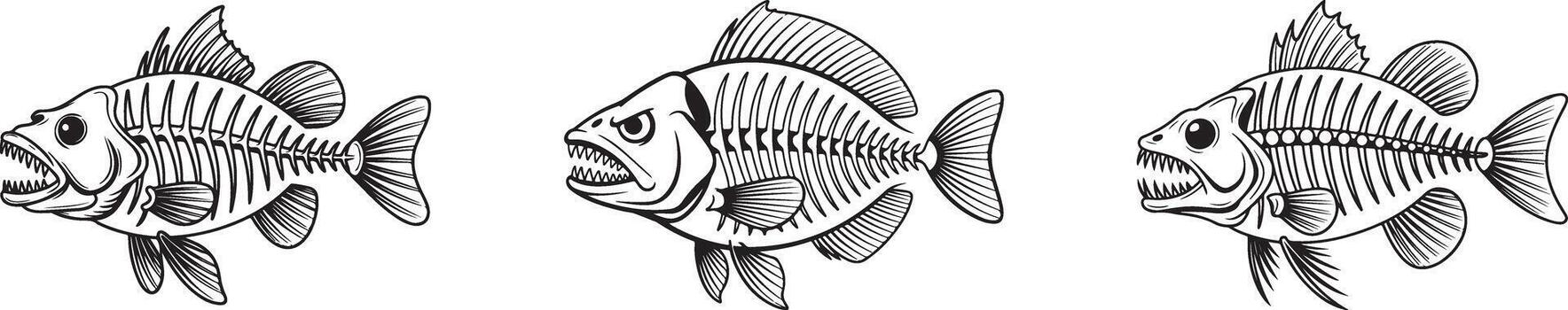 Tres depredador pescado esqueletos con agudo dientes y detallado hueso estructuras, realista anatomía vector