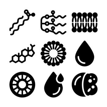 Simple Line Diagram of Various Molecular Structures and Biological Molecules Icon Set vector