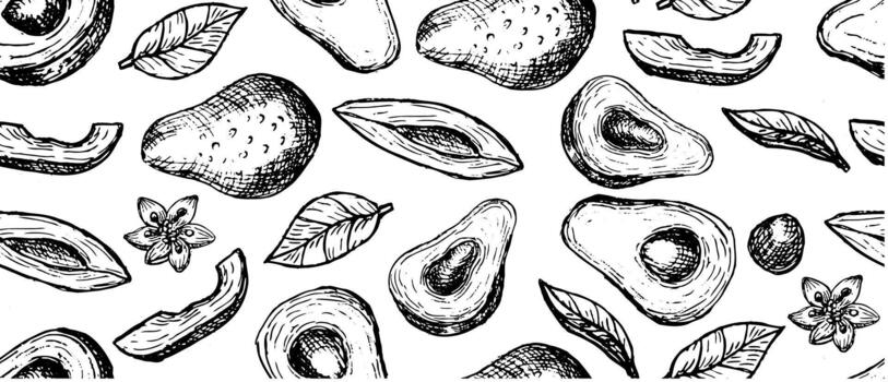 Hand drawn avocado pattern or background, sketch outline vector