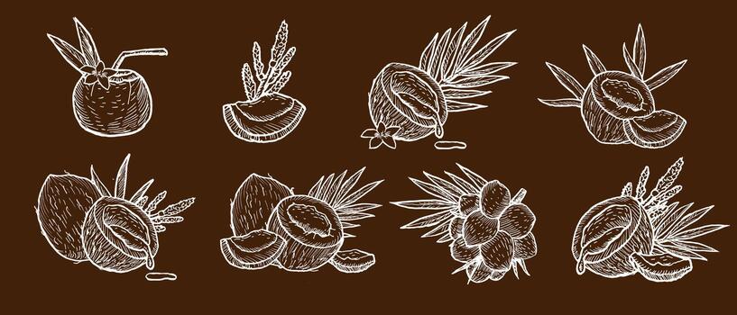 Outline white line art illustrations of coconuts, coco branches and cocktail on dark brown background. vector