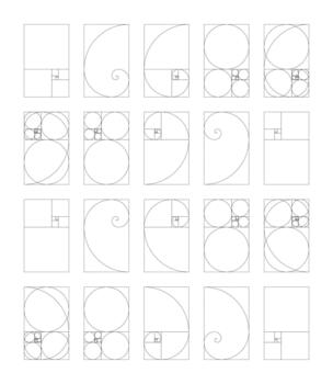 Vertical golden ratio harmony proportions template. Set of Fibonacci numbers. Fibonacci array. vector