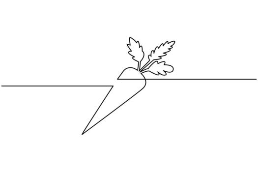 Continuous line art of a carrot emerging from a horizontal line on white vector
