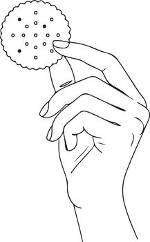 Line art illustration of a hand gently holding a delicious, round, and crispy cracker with distinct holes, ready to eat, simple graphic on white. vector
