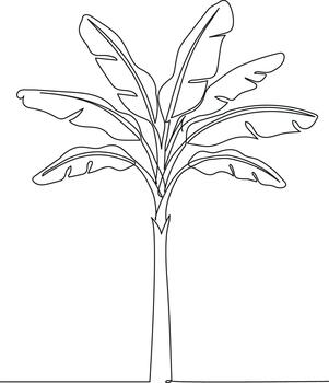 Continuous Line Drawing of a Banana Tree vector