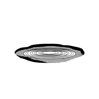 Abstract depicting concentric circles and wavy lines forming a dynamic ripple effect vector