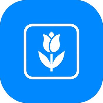 sencillo plano tulipán flor en cuadrado marco ilustración gráfico elemento vector