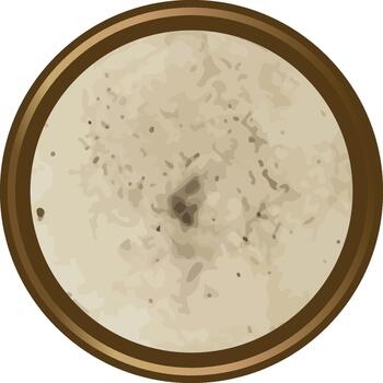 Tortilla Top View Rustic Texture vector