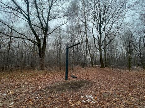 Lonely swing hanging on a metal frame in a quiet winter forest with bare trees and fallen leaves creating a calm atmospheric outdoor scene photo