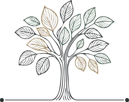Elegant tree with foliage drawn in line art style for natural themes and branding vector