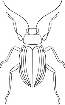Linear beetle illustration presenting a detailed insect with distinct antenna in a minimalistic, modern style vector