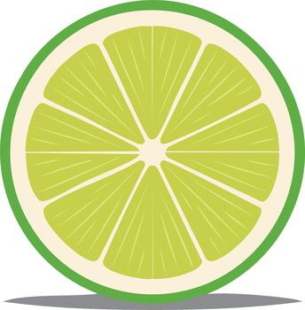 Slice of vibrant green lime fruit with internal segments and white background casting a shadow vector
