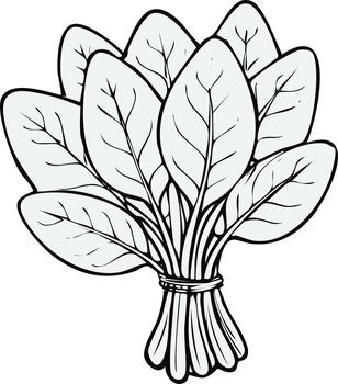 Fresco manojo de Espinacas hojas atado con un cuerda ilustración vector