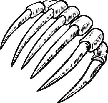 Claws design element cartoon illustration concept of sharp pointed talons isolated vector