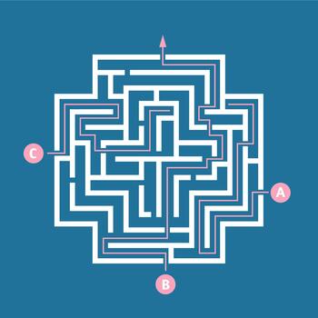 Maze illustrating multiple paths leading to target solution vector