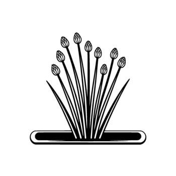 un minimalista ilustración de un racimo de estilizado césped dispara con sin abrir flor brotes emergente desde un sencillo redondeado rectangular base vector