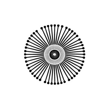 un sorprendentes resumen radial Estallar presentando un central rayos de sol modelo rodeado por numeroso Delgado radiante líneas con redondeado consejos vector