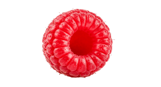 vicino su di un' singolo rosso lampone con acqua goccioline isolato su un' trasparente sfondo png