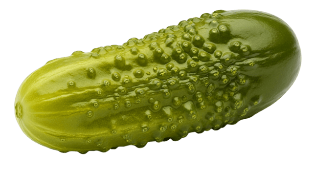 un soltero con baches verde pepinillo con un lustroso textura y texturizado piel aislado en un transparente antecedentes png