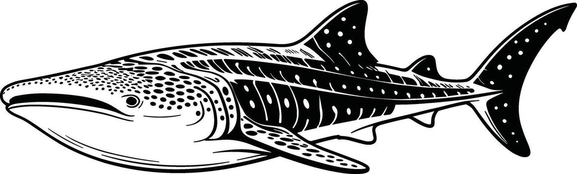 Black and white of a whale shark with dotted patterns vector