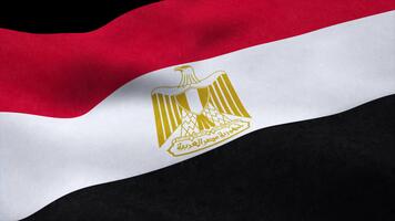 sömlös slinga av de egyptisk flagga vinka i de vind animering isolerat på svart bakgrund video