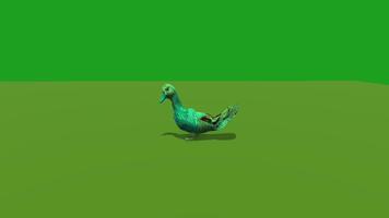 Abstract 3d duck walk animation loop video