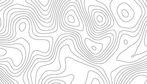 Minimal Abstract Topographic Line Map Pattern vector