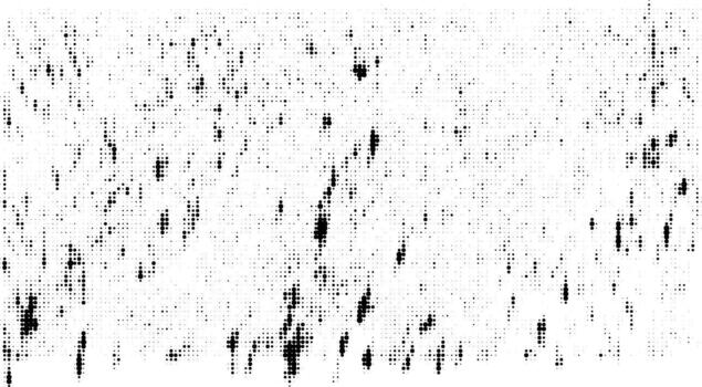 Abstract Grunge Halftone Noise Texture in Black and White, High-Contrast Dot Pattern for Bold Graphic Backgrounds and Edgy Design Elements vector