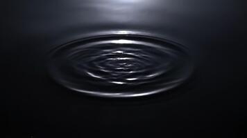 krusningar expanderar på en mörk och reflekterande vatten yta i en damm under mjuk månsken skapa en lugn, hypnotisk, och lugnande atmosfär video