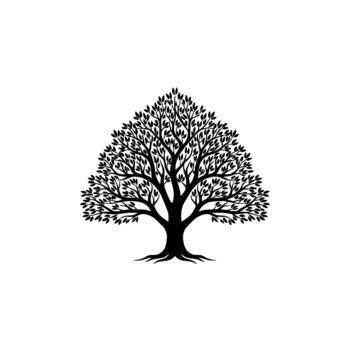 un clásico silueta de un completamente ramificado caduco árbol con intrincado hoja patrones y visible raíces aislado vector