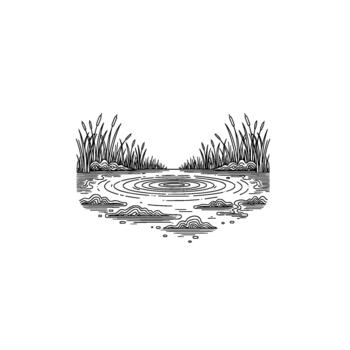 A minimalist line art illustration depicting a tranquil pond with concentric ripples emanating from a central point surrounded by tall reeds and marsh vegetation vector