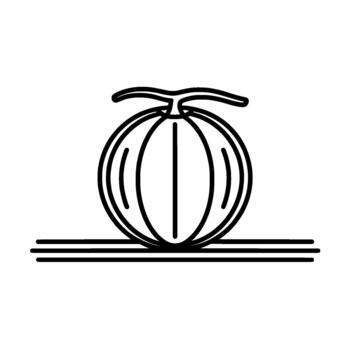 A minimalist outline illustration of a cantaloupe melon with subtle vertical segmentation and a stem presented vector