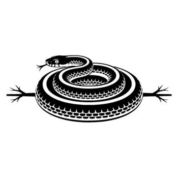 Striking illustration of a coiled garter snake with tongue flicking depicted with stark contrast and minimalist style vector