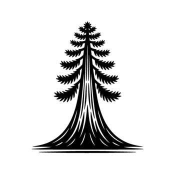 Stylized silhouette of a tall coniferous tree with prominent branches and a wide base isolated vector