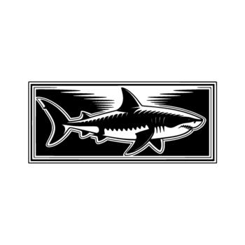 sorprendentes ilustración de un poderoso genial tiburón en perfil representado dentro un decorativo rectangular marco con horizontal líneas sugerencia movimiento o velocidad vector