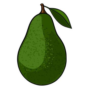 A stylized illustration of a single ripe avocado with a stem and leaf against a white background, featuring textured green skin and subtle shading for depth. vector
